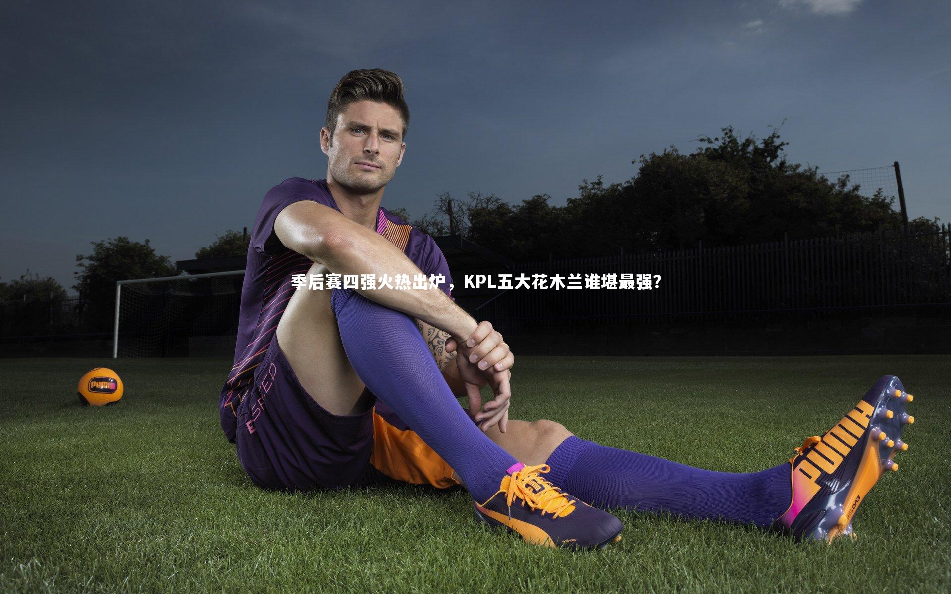 季后赛四强火热出炉，KPL五大花木兰谁堪最强？